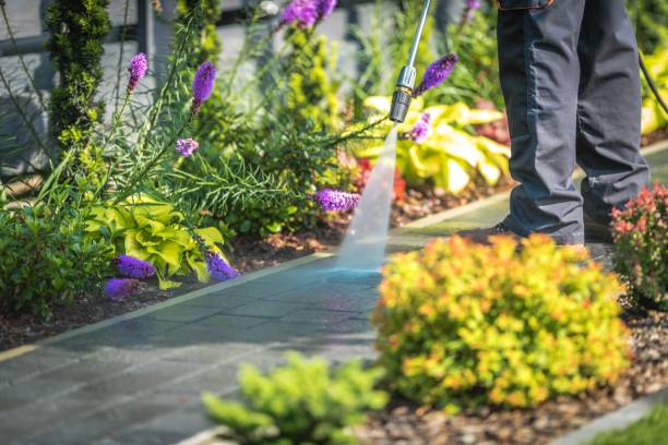 Best Fence Cleaning  in Calcium, NY